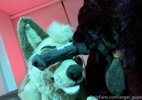 angel pups pornstar sex image