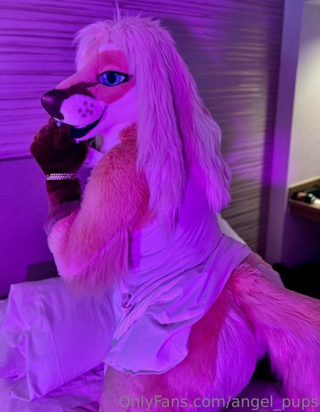 angel pups star pretty image