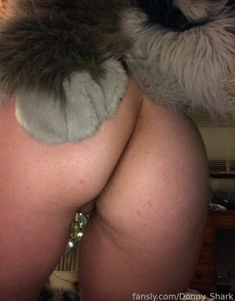 Donny Shark pornstar sexy pics