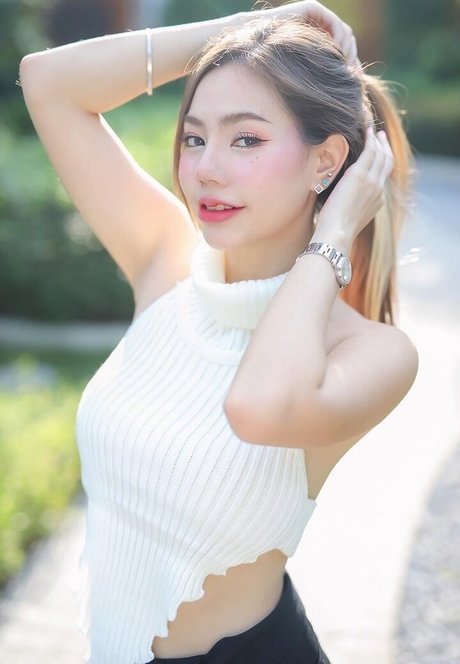 fangtnc star art archive