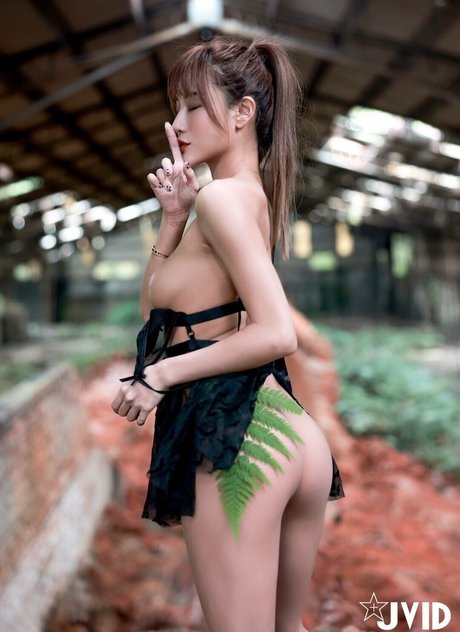 Lara Fan star top pictures