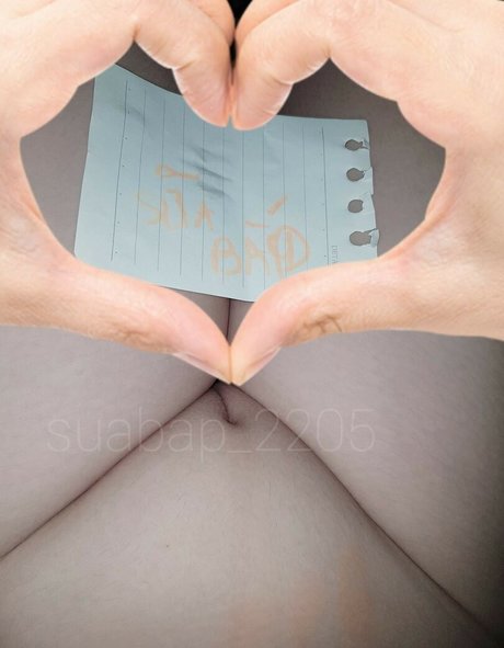 suabap 2205 model best pics