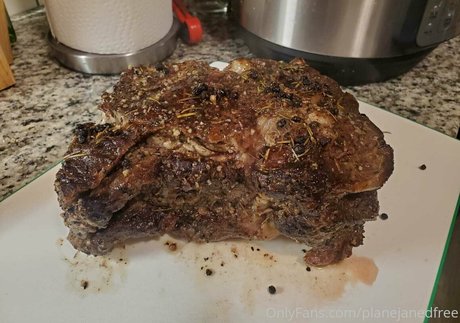 planejanedfree adult model pictures