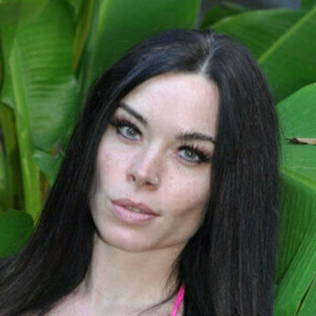 free to be exhibitionist top star pictures