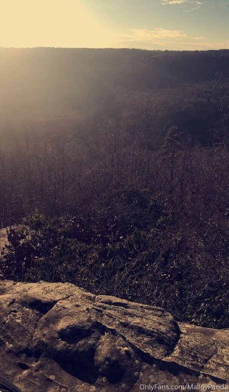 malloypanda pornstar archive