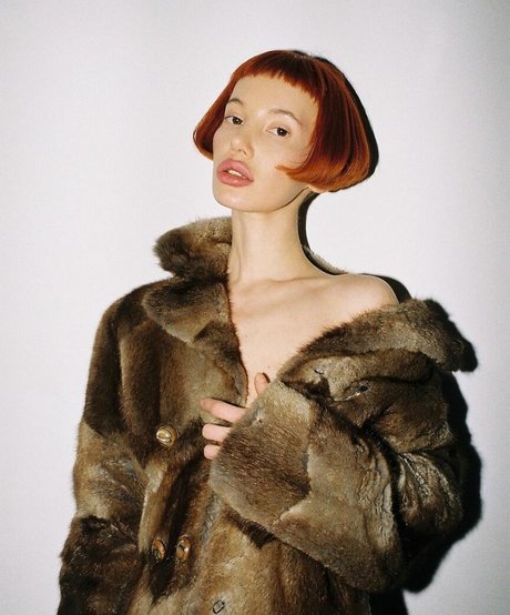 Lotussutra pretty star pictures