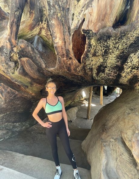 tallielorain high quality model archive