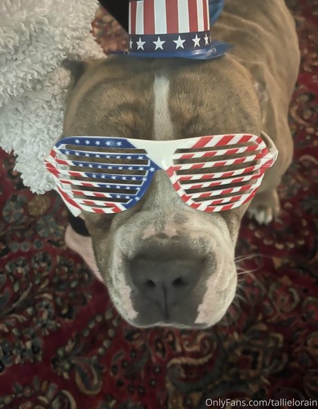 tallielorain Profile pic