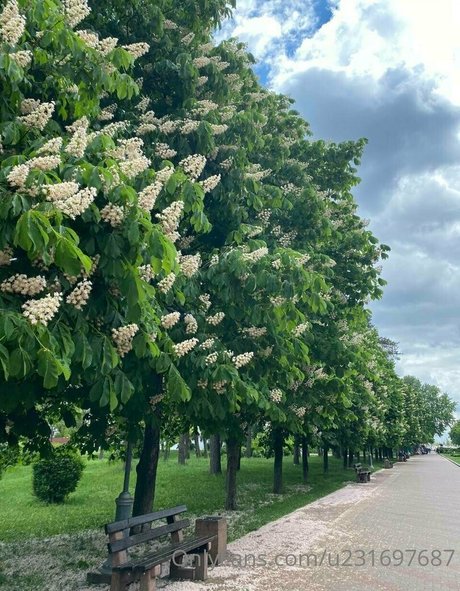 cosplay xxx onlyfans perfect pic