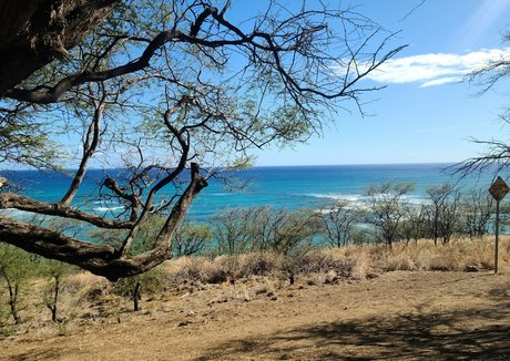 allisonj pornstar best photo