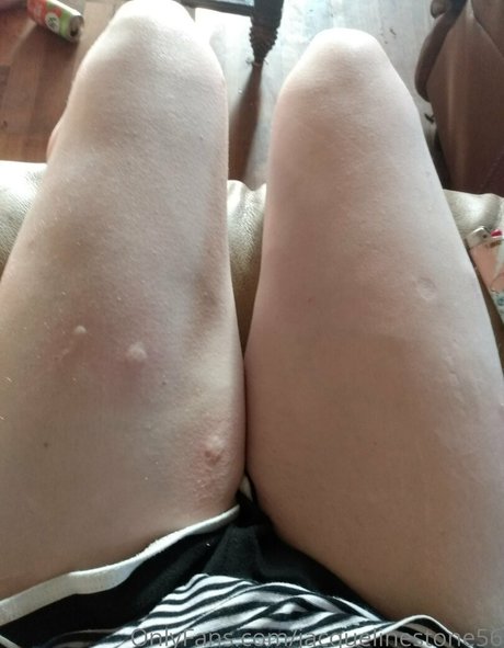 jacquelinestone56 sexy pornstar galleries