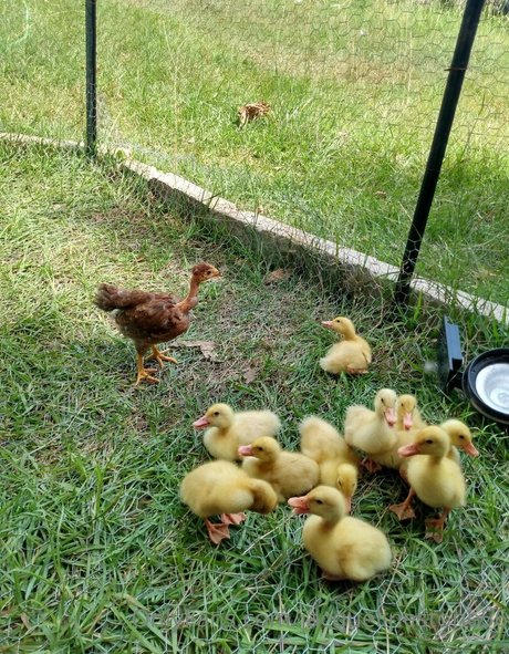 jacquelinestone56 star naked pic