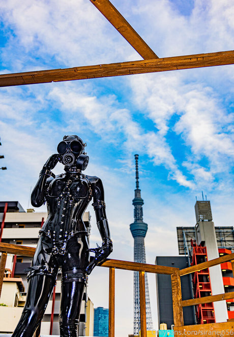 siranegi56 pornographic actress photos