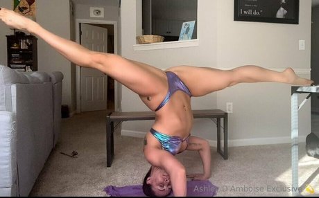 Ashley DAmboise porn star galleries