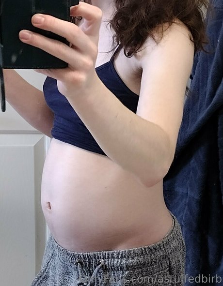 astuffedbirb star top pictures