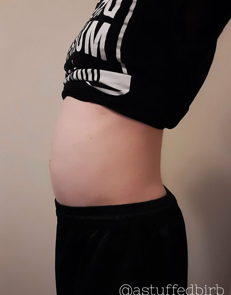 astuffedbirb free pornstar galleries