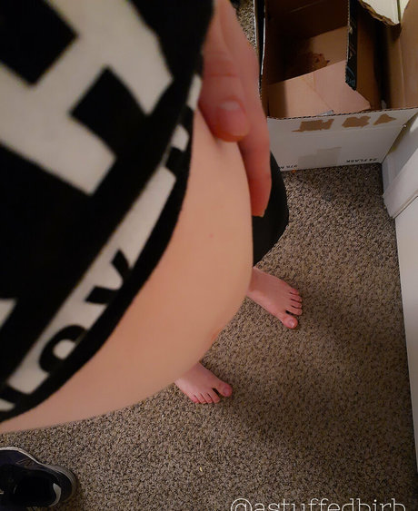 astuffedbirb naked star picture