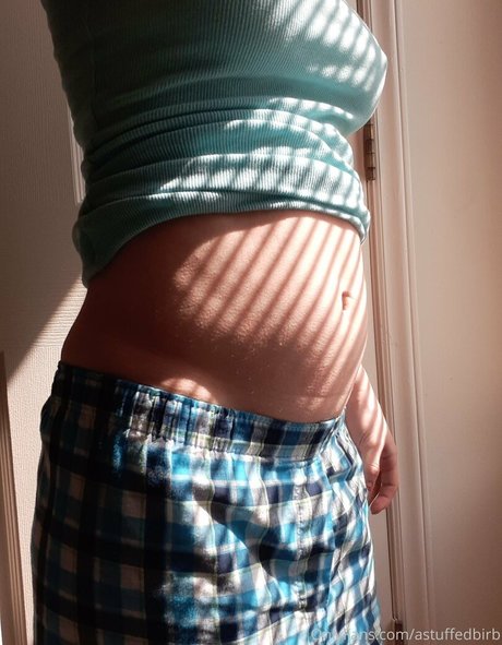 astuffedbirb pornographic star pic