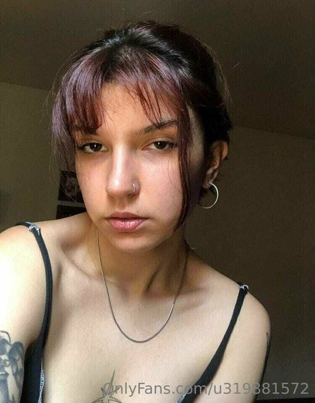 lola deinnn nice star galleries