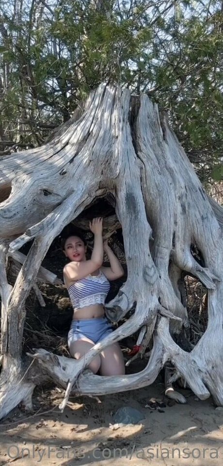 asiansora model erotic image