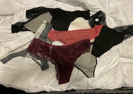 nipslipnovalynn best pornstar photo