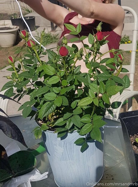 curvyycandyyfree model sex gallery