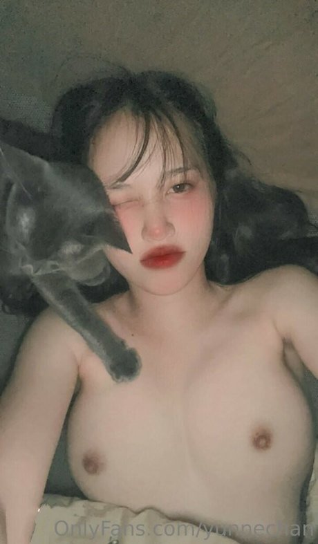 yunnechan art model pics