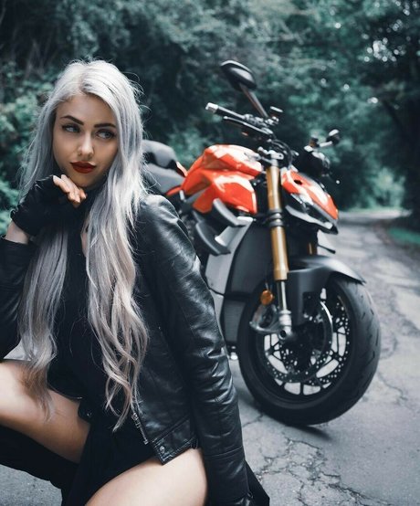 Farbenfuchs star top gallery