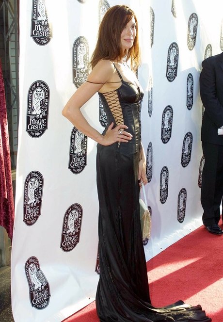 Teri Hatcher exclusive pornstar image