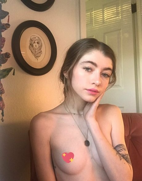 Kennedydawn star galleries