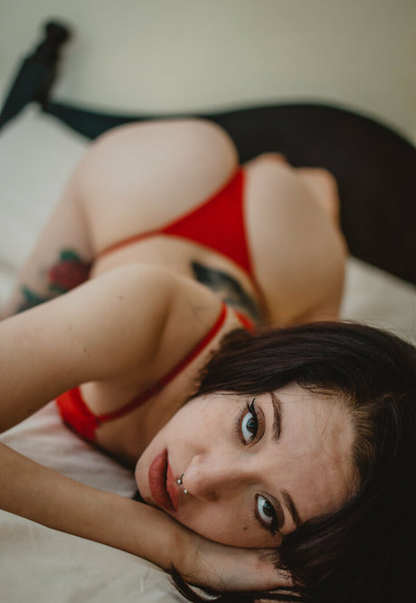 miss whitetrash exclusive star img