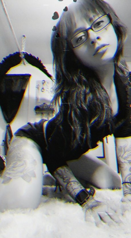 skullcandybri top model archive