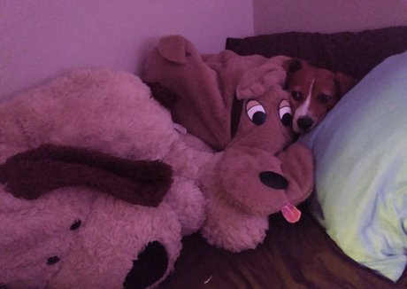 imamazingbitch beautiful actress pic