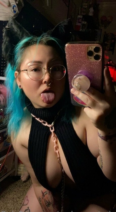 myherocatademiafree pornstar top archive