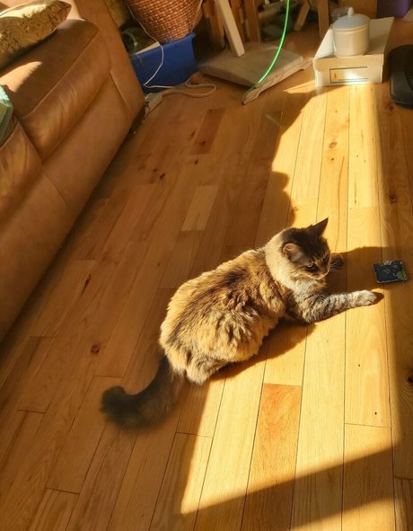 big tits redhead onlyfans naked galleries