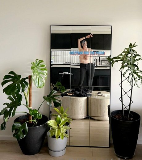 lollyfangs perfect star pics