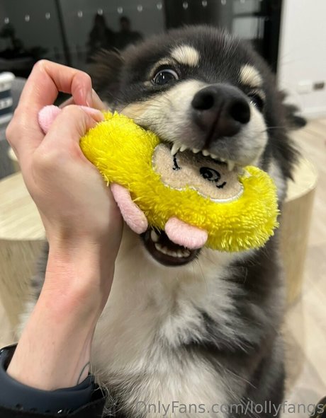 lollyfangs sexy model gallery