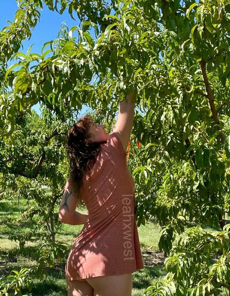 leahxwestfree pornstar top pics