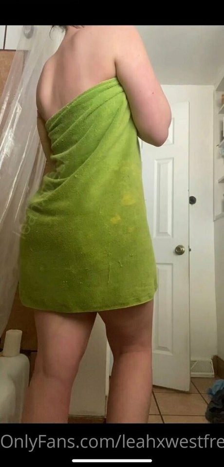 leahxwestfree art star galleries