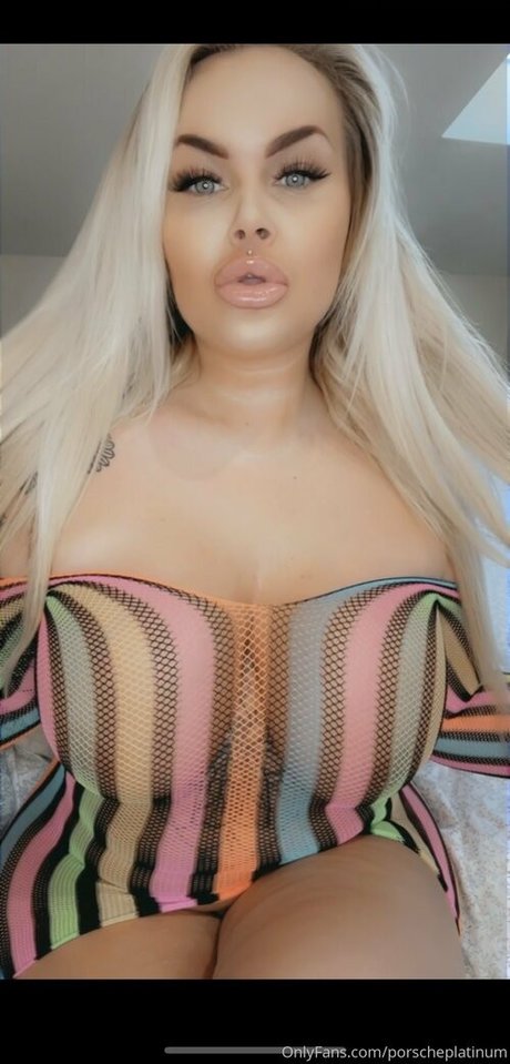 Porscheplatinum hd model image