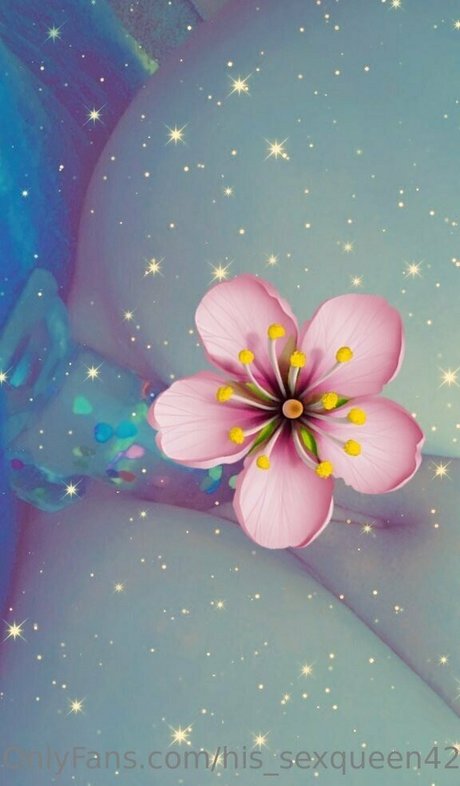 his sexqueen4200 model porn galleries