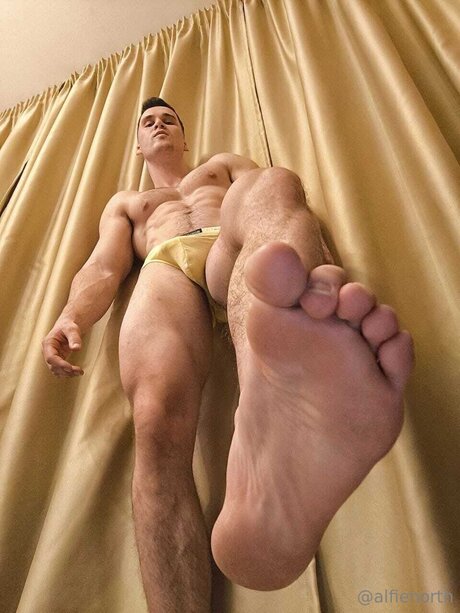 alfienorthfree pretty pornstar pic