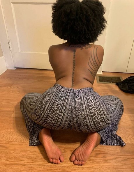 ajax and ivy pornstar free gallery