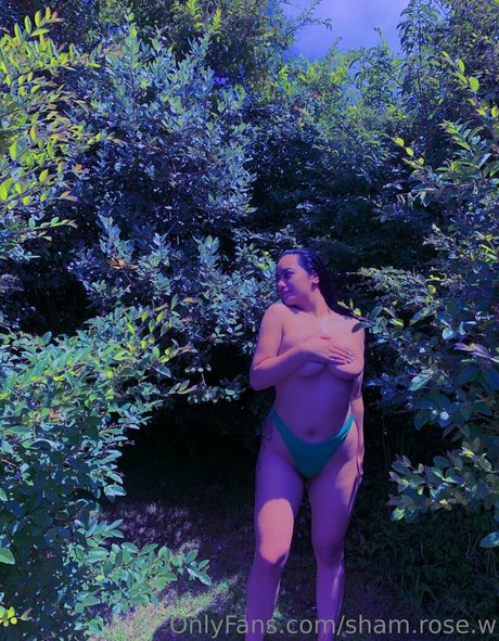 sham rose w pornstar nice picture