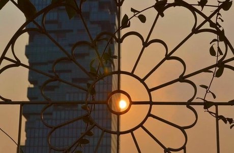 Taylor Francis model best pictures