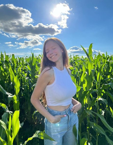 Mettaass model top photo