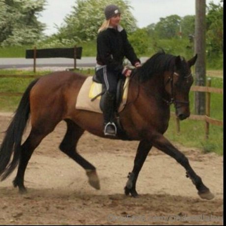 cindarellalou perfect model gallery