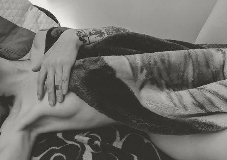 snoot star beautiful photos