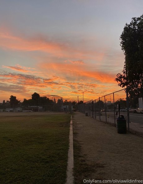 oliviawildinfree exclusive actress picture