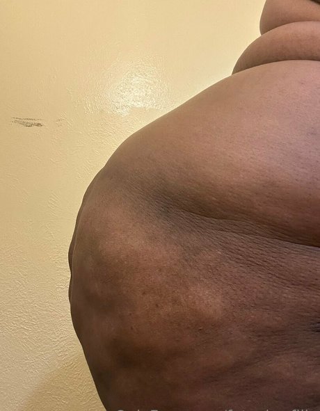 fatcake filla star perfect galleries